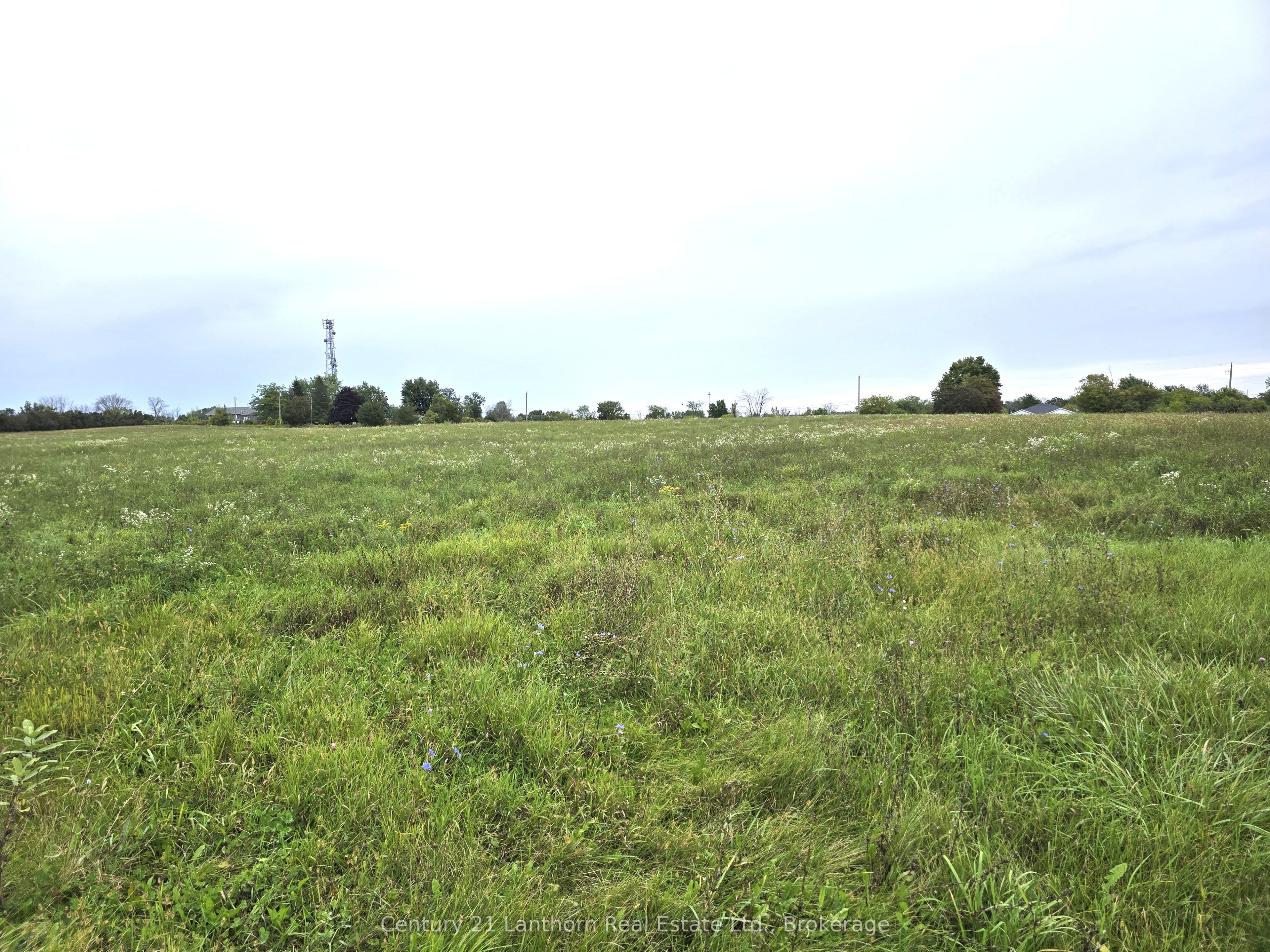 1014 Hamilton Road Property Photo 49