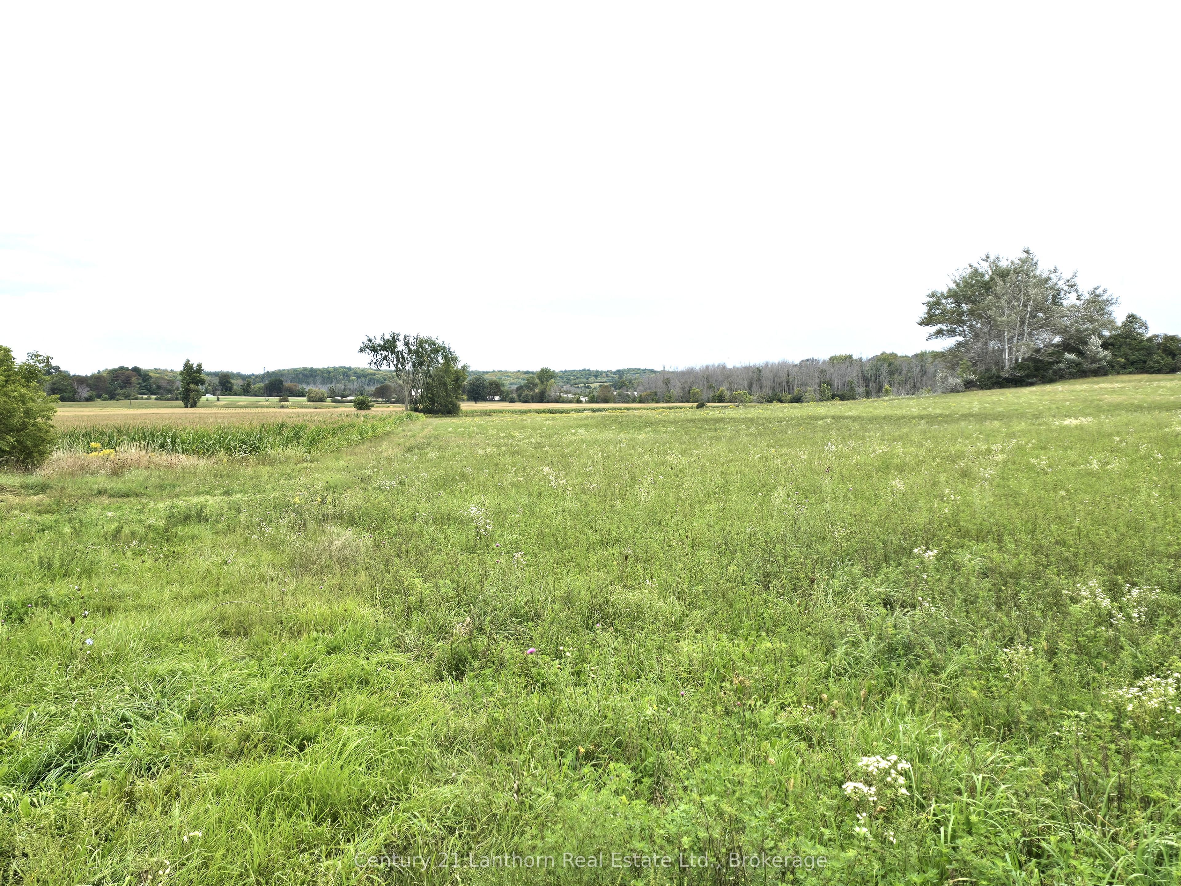 1014 Hamilton Road Property Photo 50