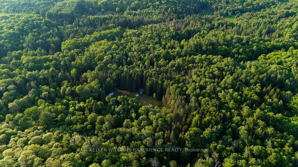 2101 Ahmic Lake Road Property Photo 6