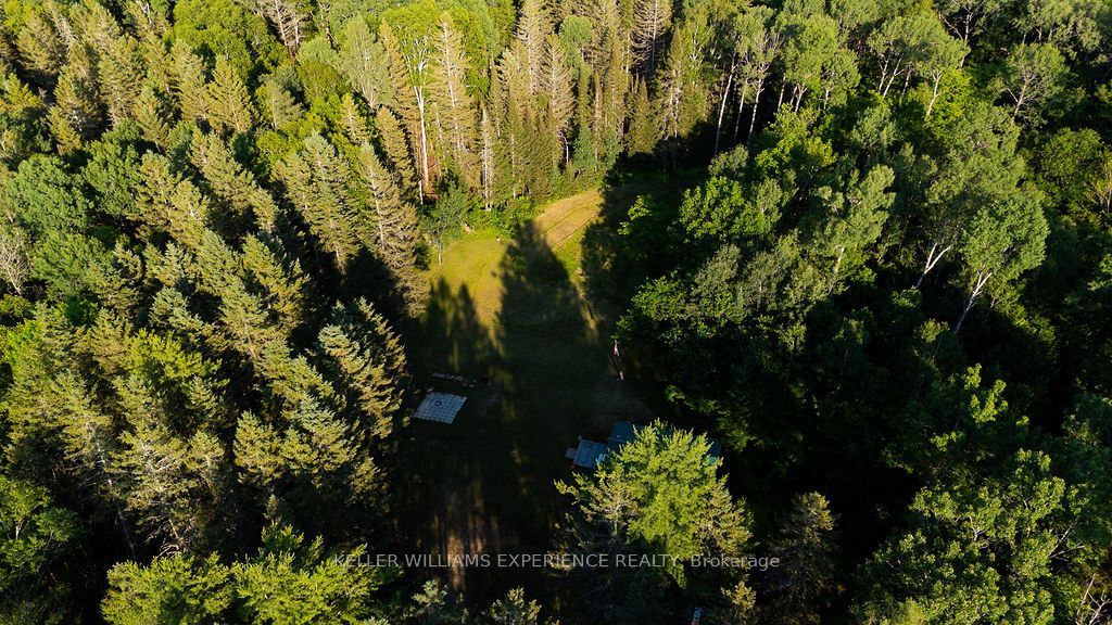 2101 Ahmic Lake Road Property Photo 7