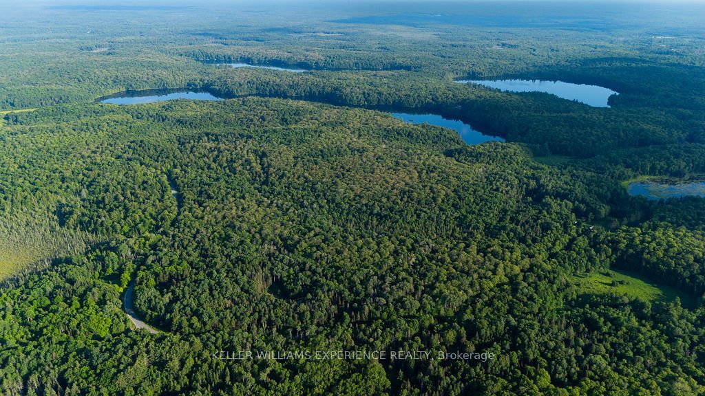 2101 Ahmic Lake Road Property Photo 17