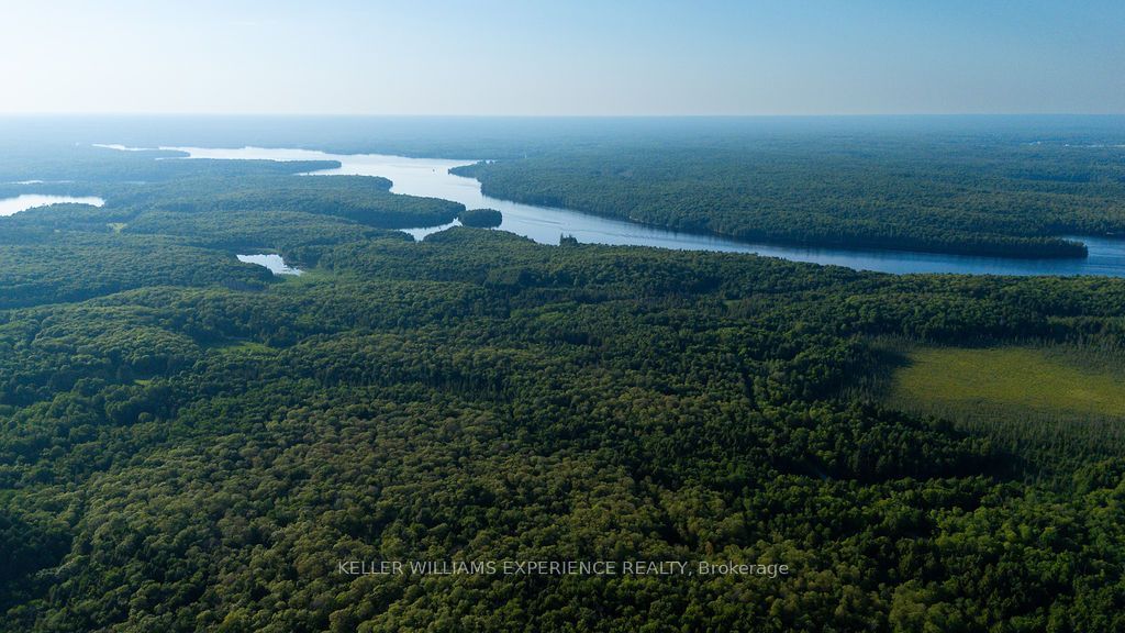 2101 Ahmic Lake Road Property Photo 24