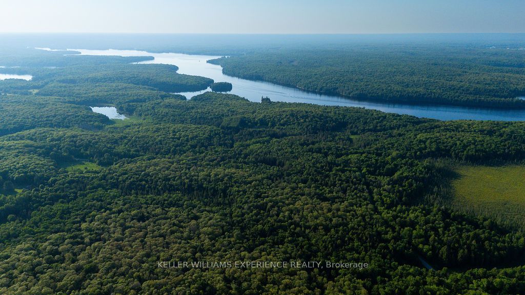 2101 Ahmic Lake Road Property Photo 25