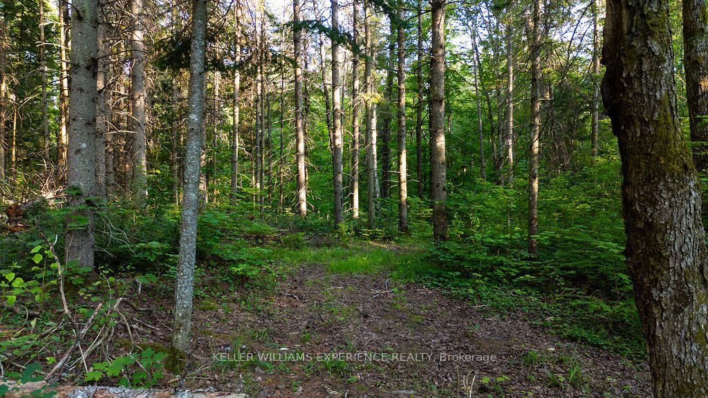 2101 Ahmic Lake Road Property Photo 26