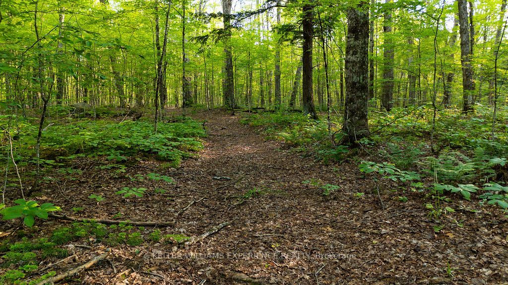 2101 Ahmic Lake Road Property Photo 27