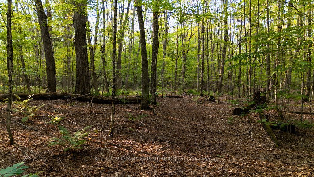 2101 Ahmic Lake Road Property Photo 29