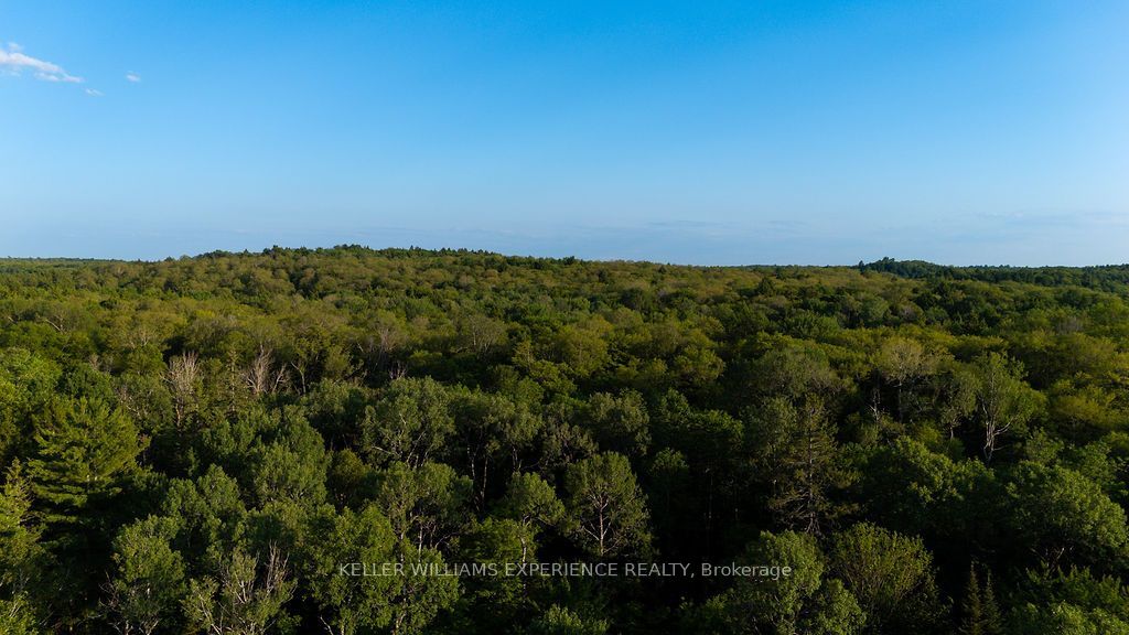 2101 Ahmic Lake Road Property Photo 31
