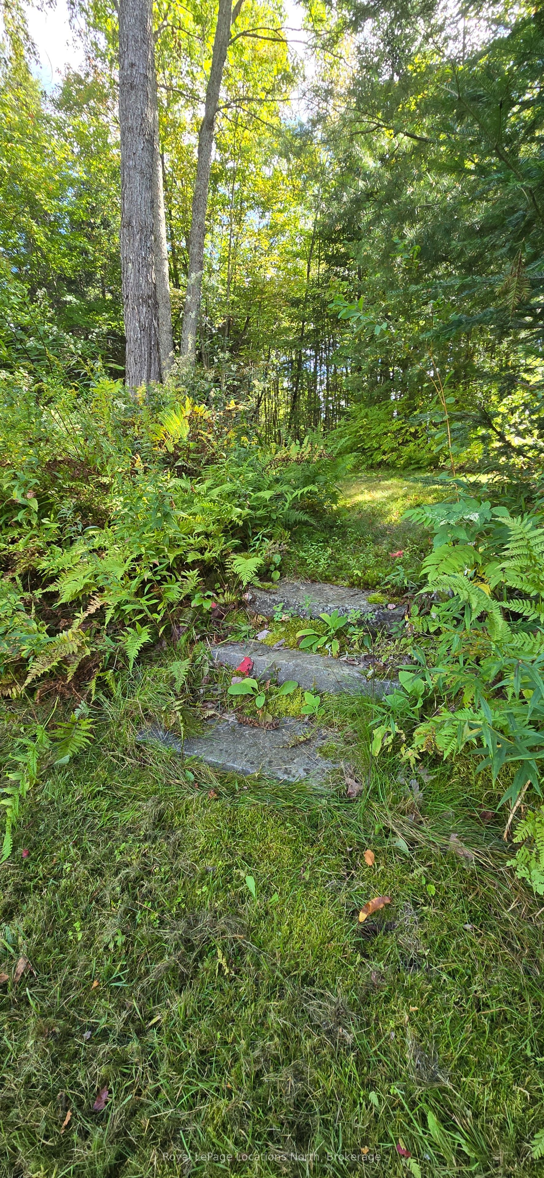 64 Yearley Road Property Photo 44