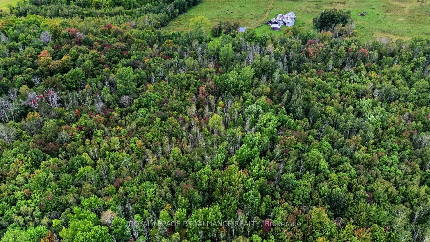 0 Kain Road Property Photo 3