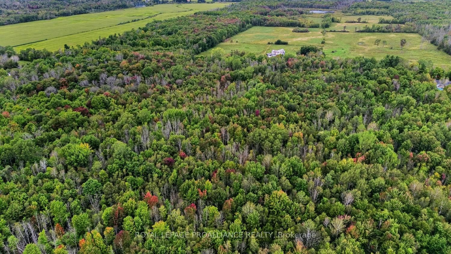 0 Kain Road Property Photo 4
