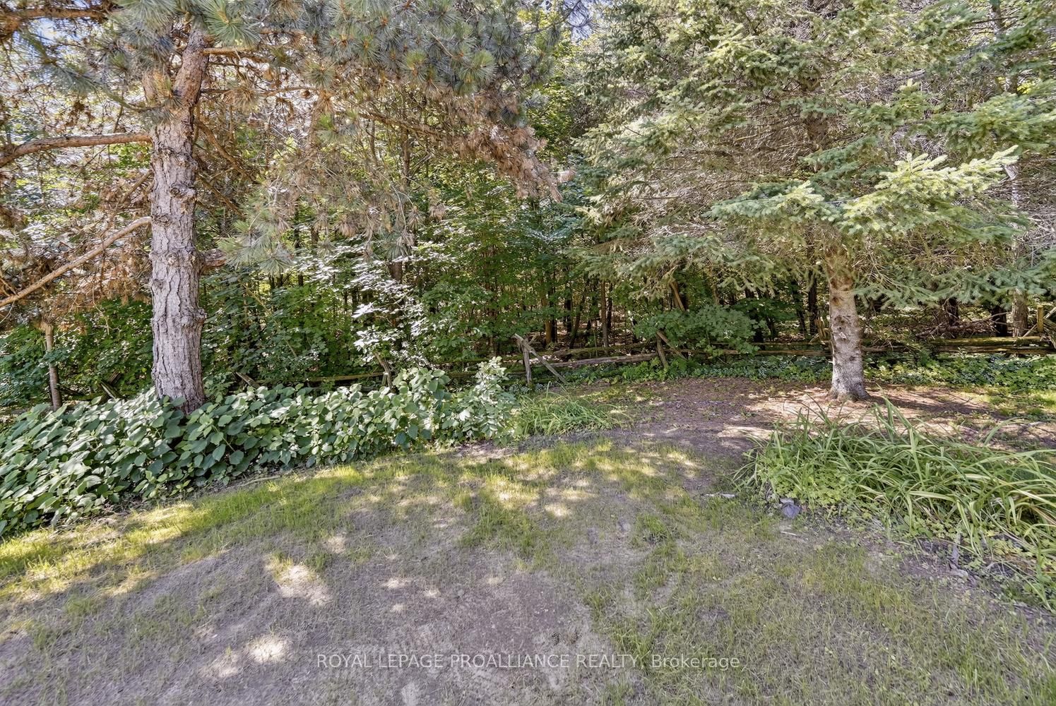 3479 County Rd 26 Road Property Photo 26