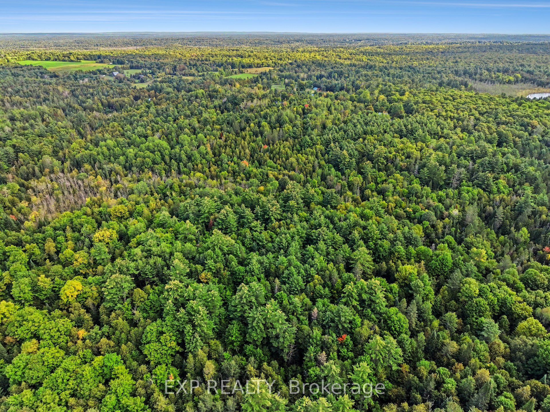 1579 Darling Road Property Photo 6