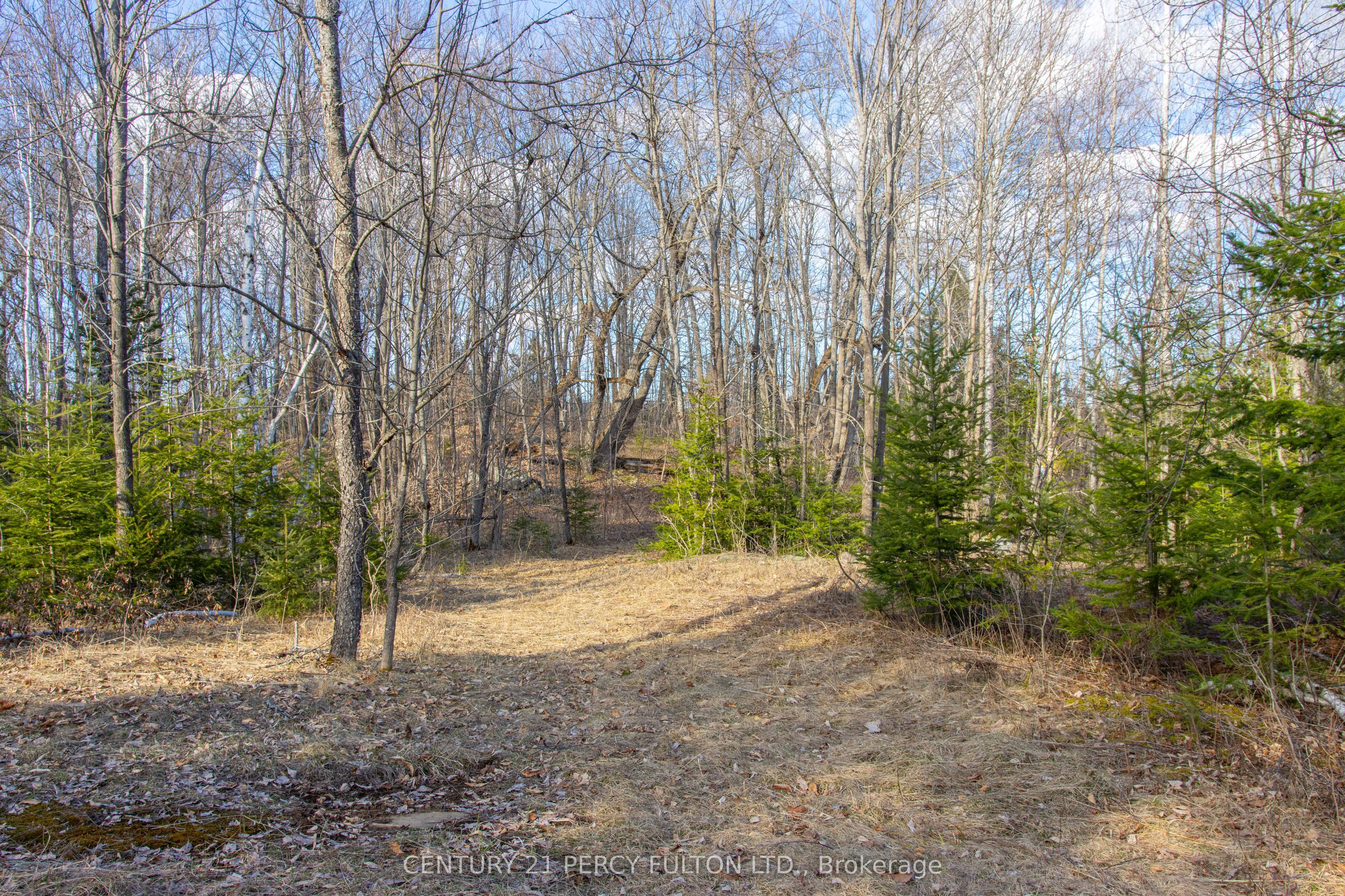 0 Lost Nation Road L 24&25 Property Photo 41