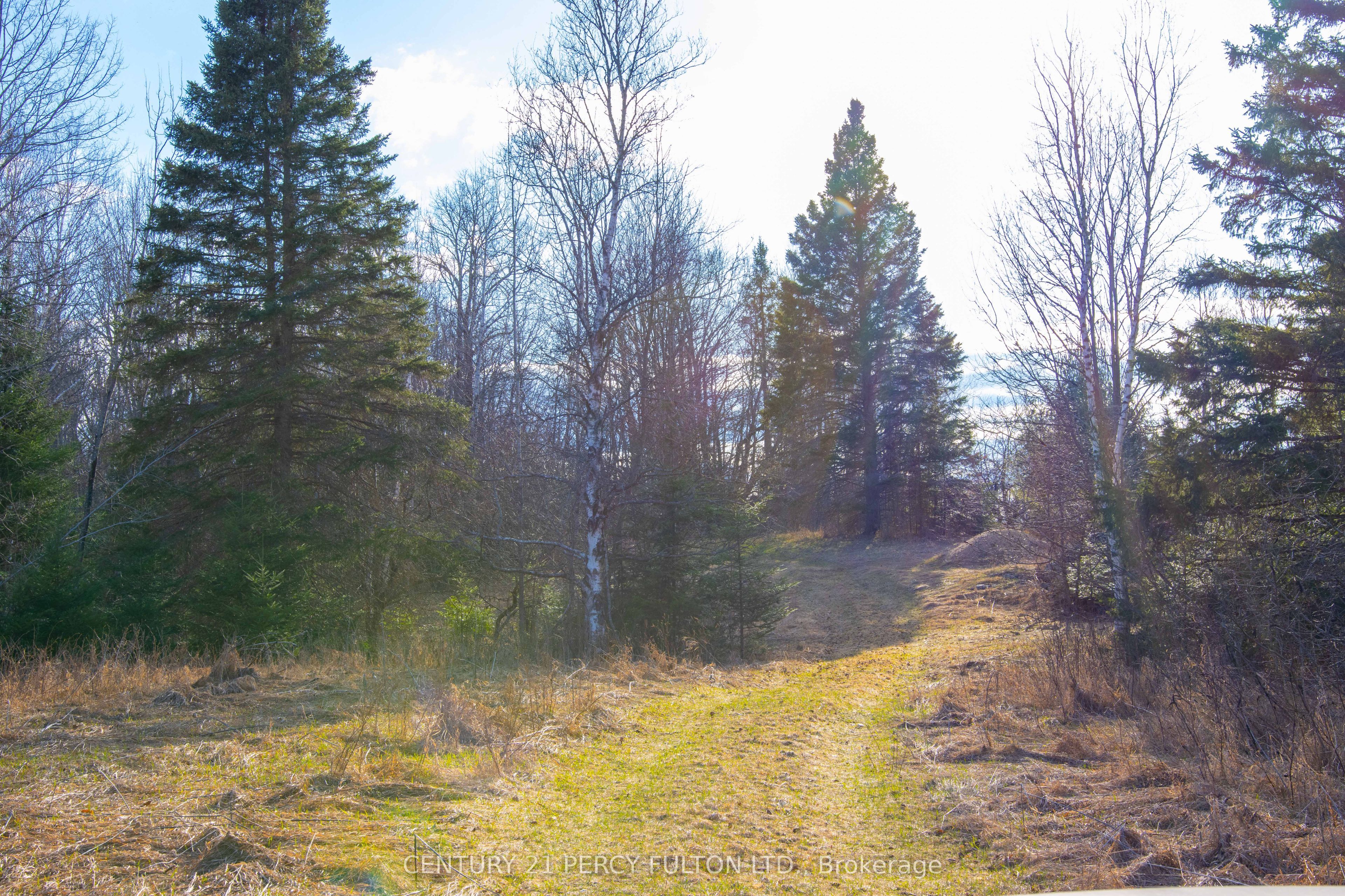 0 Lost Nation Road L 24&25 Property Photo 42