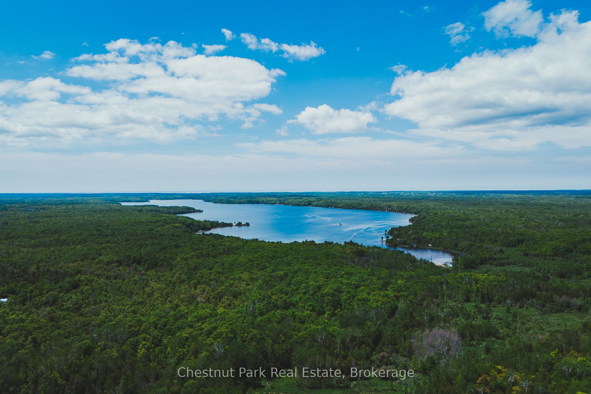 295 Tammys Cove Road Property Photo 2