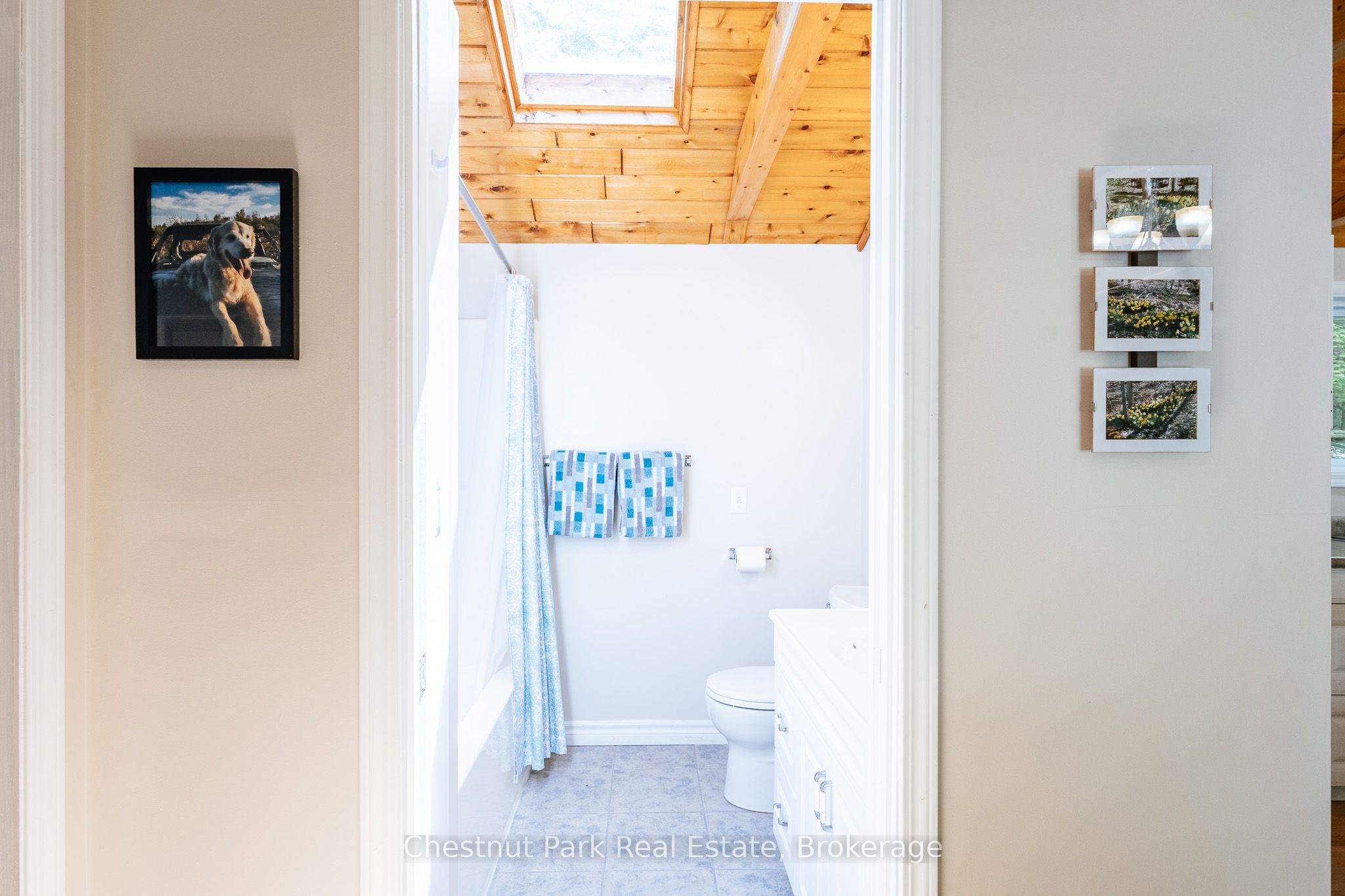 295 Tammys Cove Road Property Photo 23