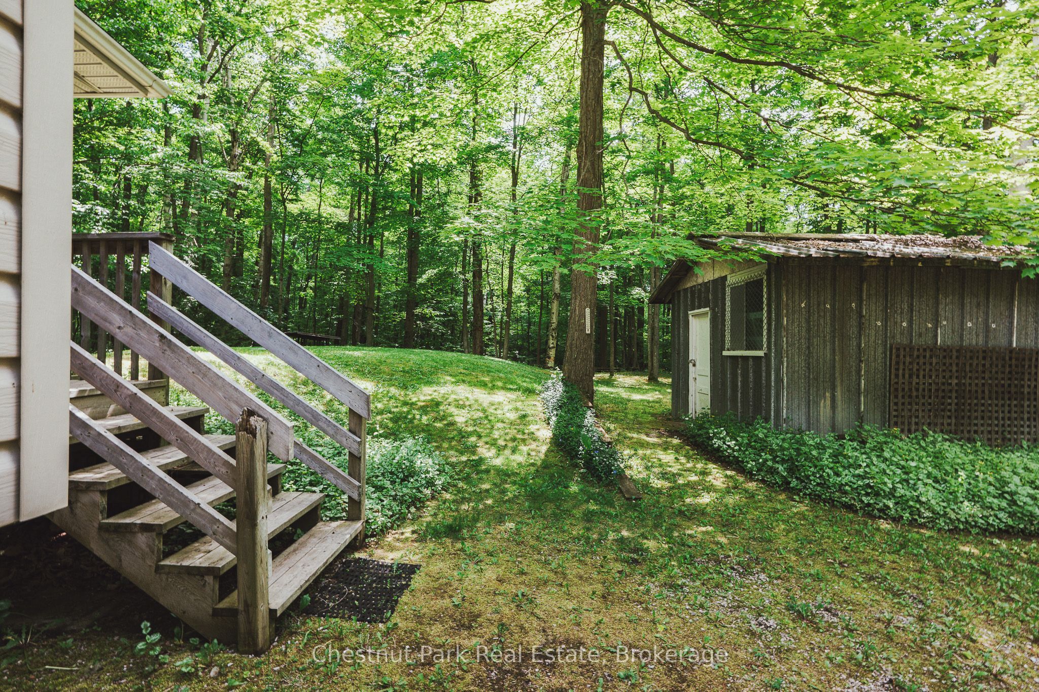 295 Tammys Cove Road Property Photo 32