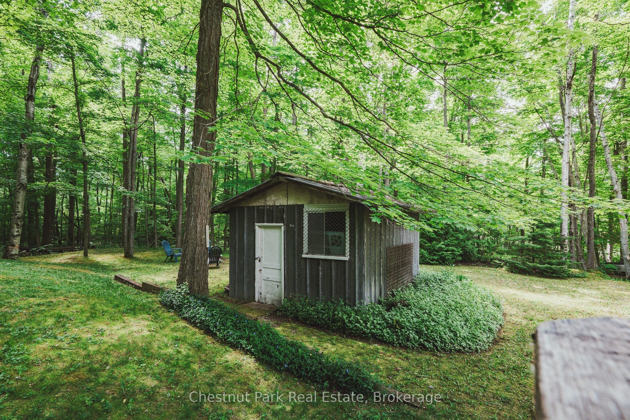 295 Tammys Cove Road Property Photo 34