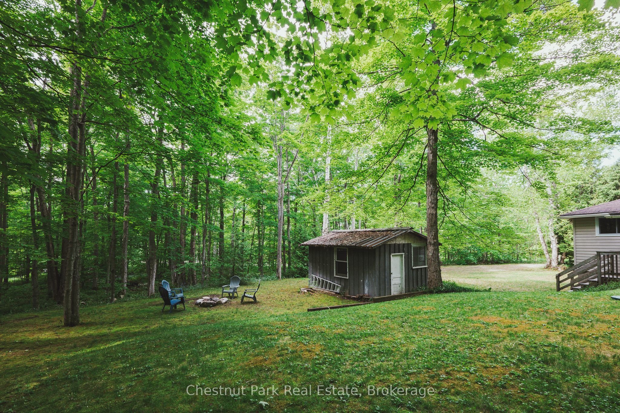 295 Tammys Cove Road Property Photo 35