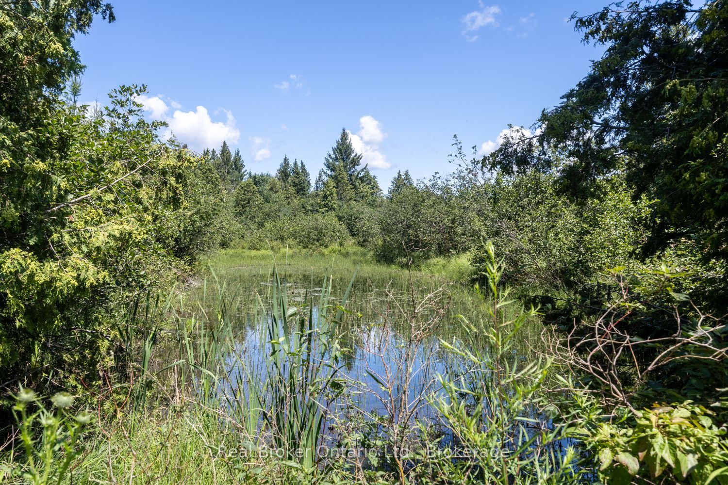 982 Porter Road Property Photo 40
