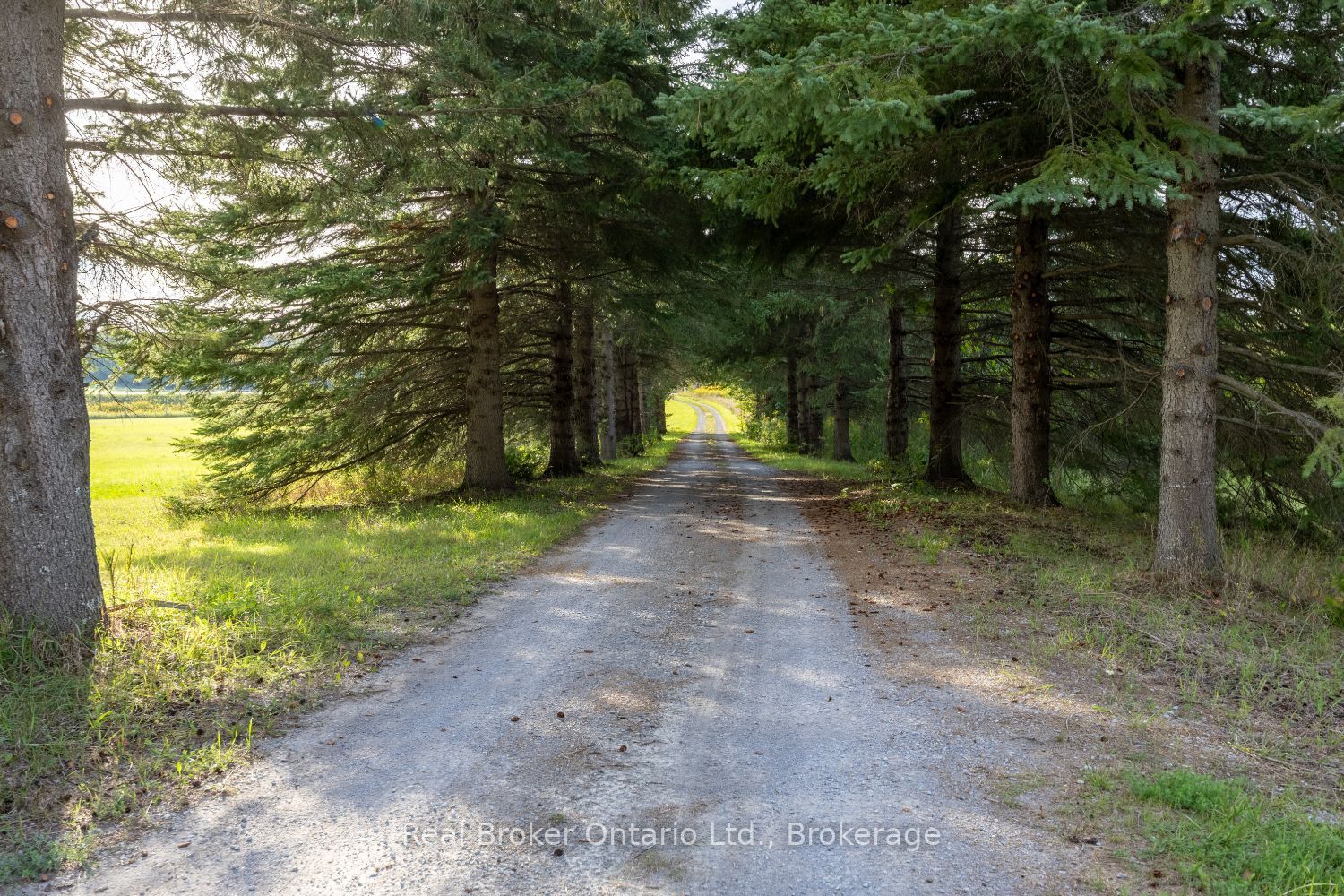 982 Porter Road Property Photo 44