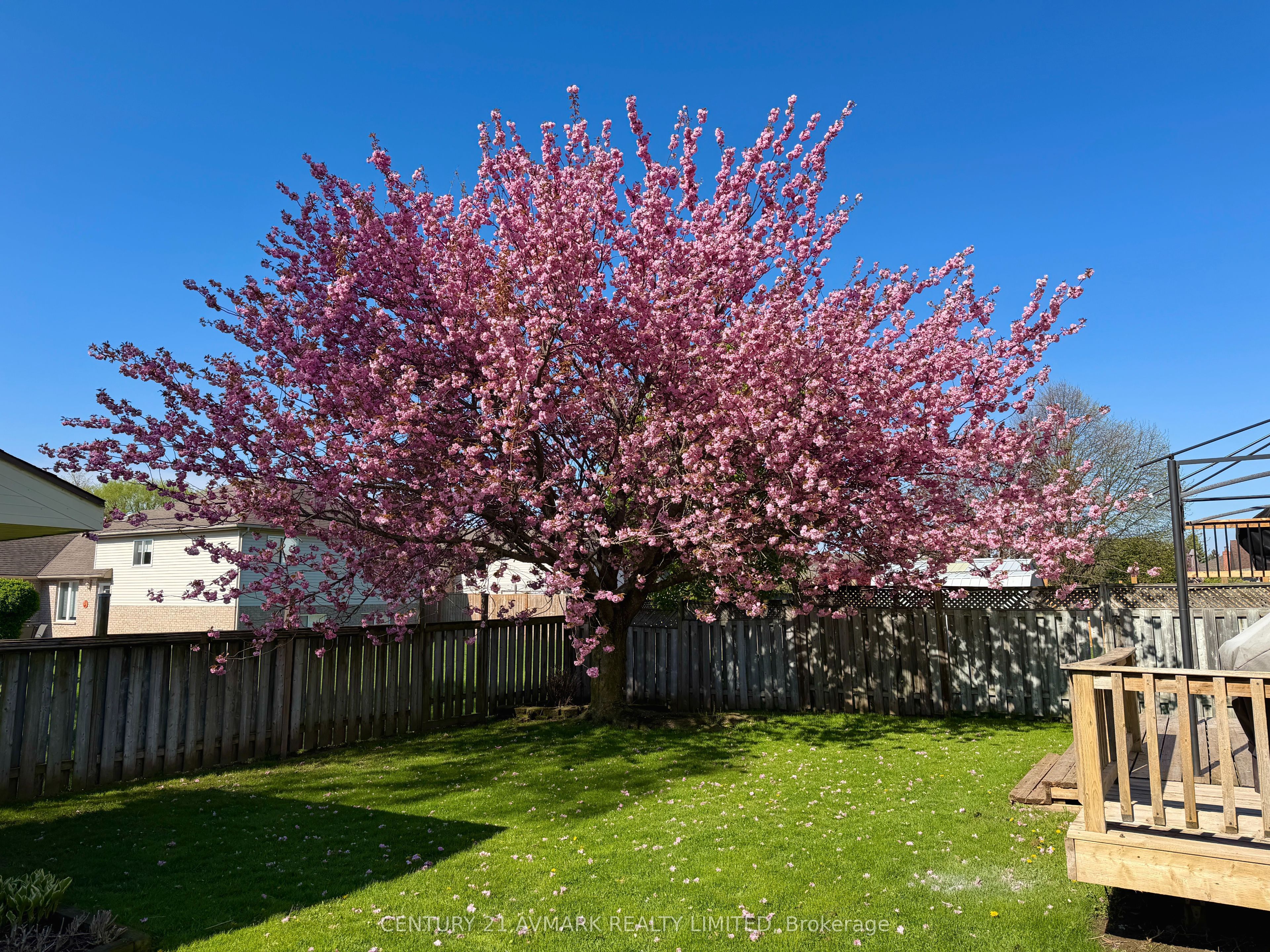 65 Wellandvale Drive Property Photo 35