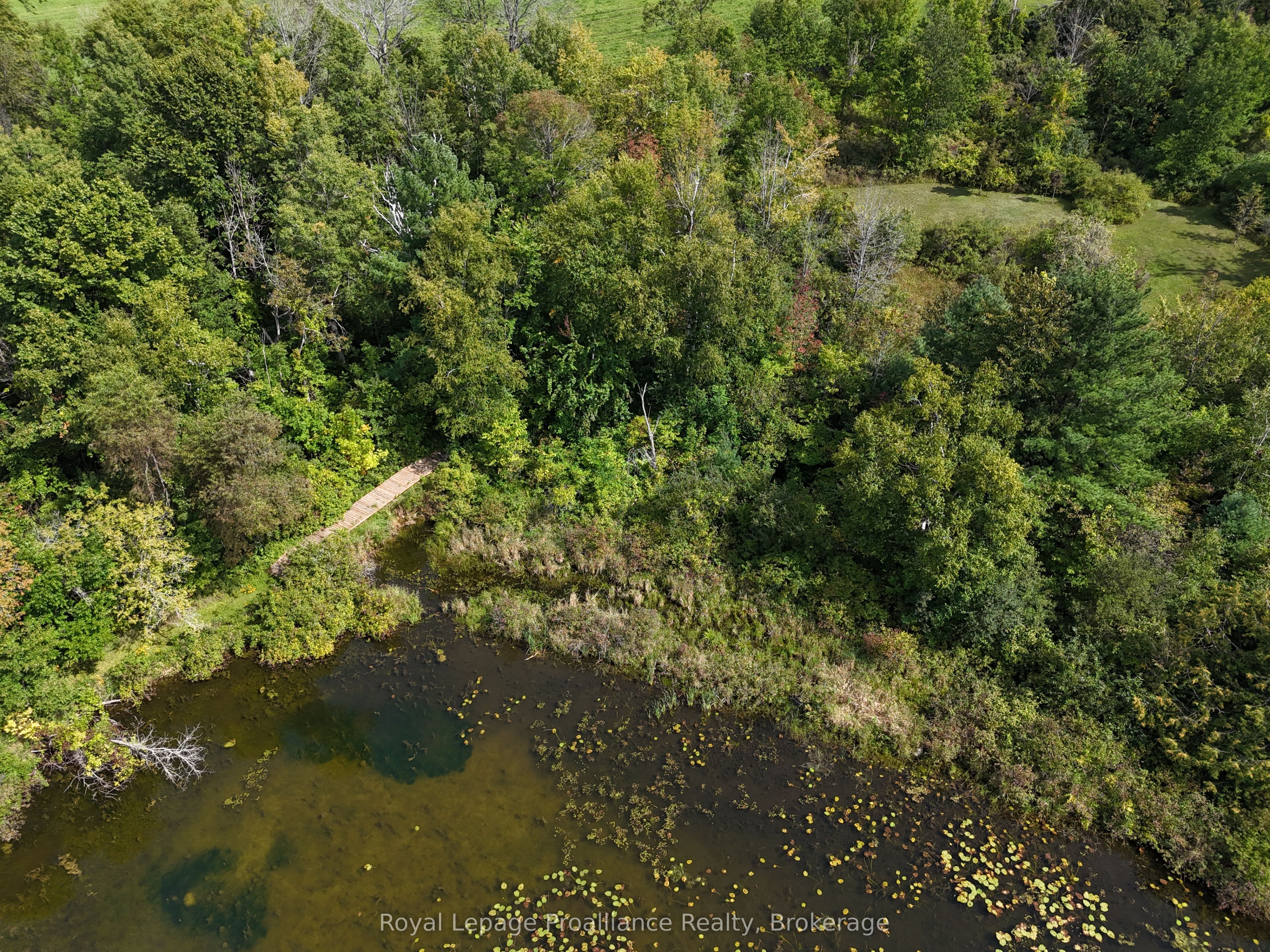 684 Gallivan Road Property Photo 49
