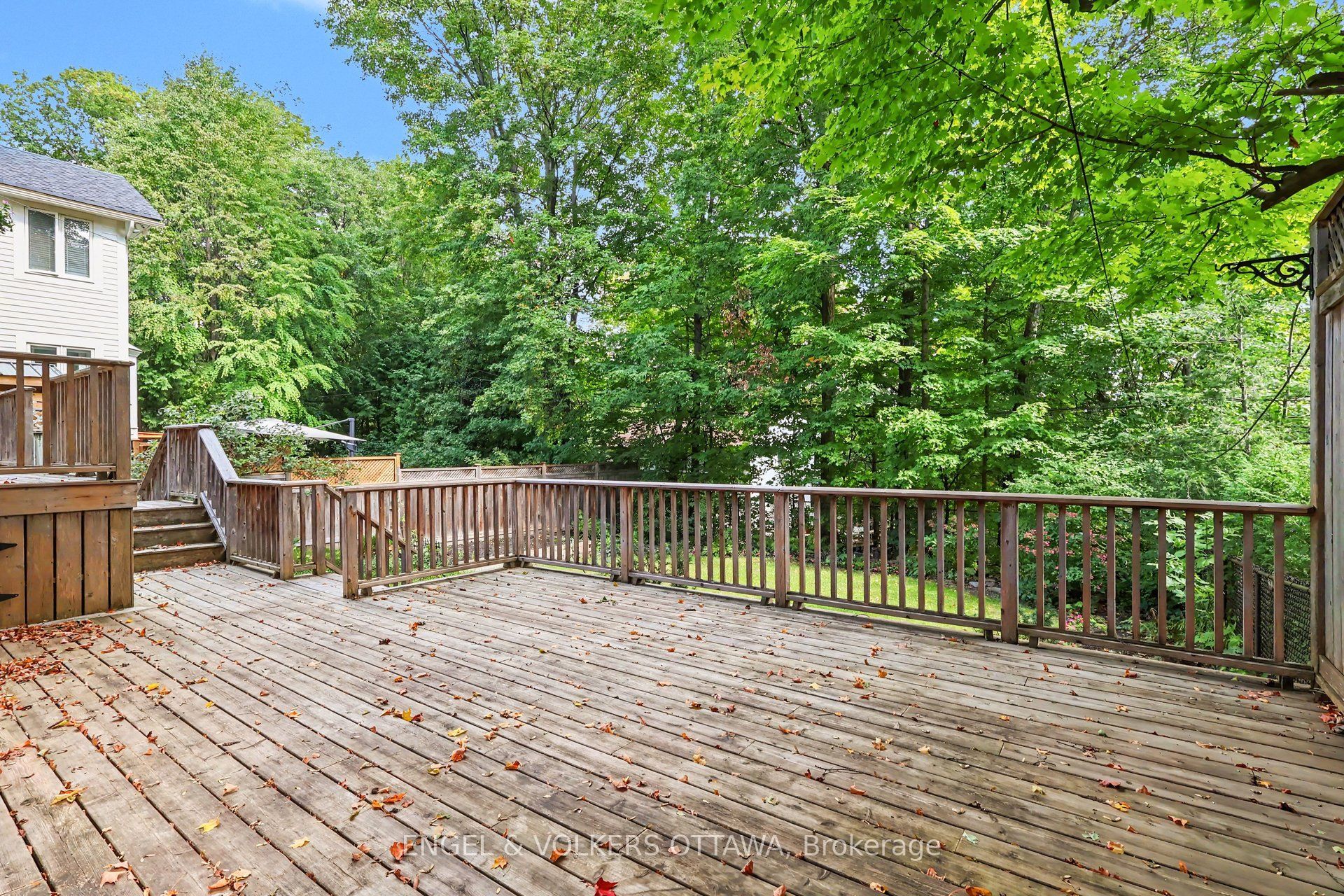 154 Acacia Avenue Property Photo 36