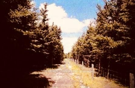 383206 20 Side Road Upper Level Property Photo 8