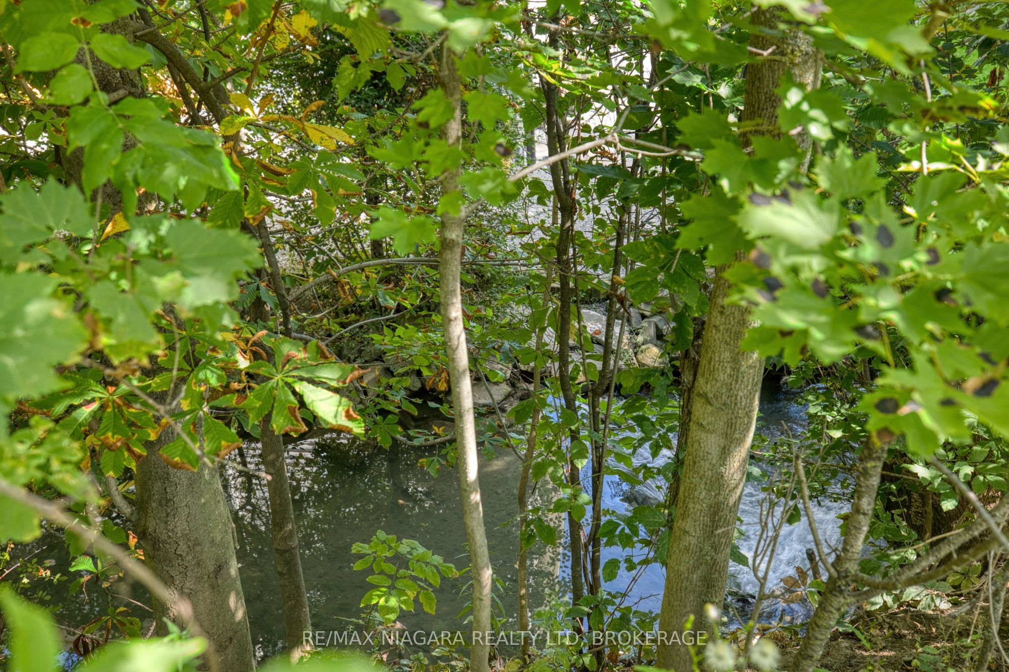 4166 Chippawa Parkway Property Photo 4
