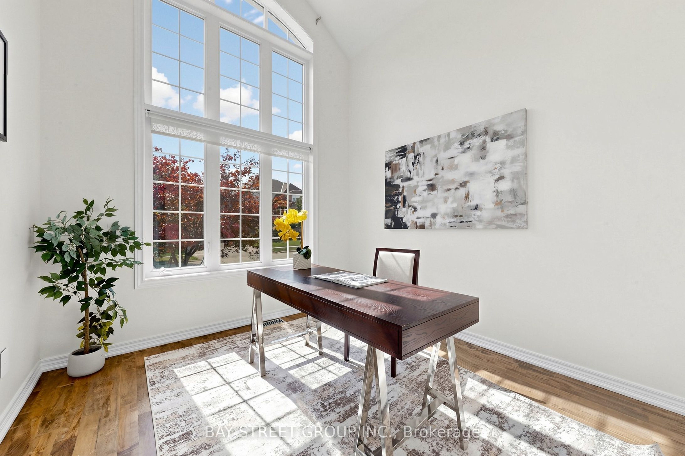 23 Woodhouse Street Property Photo 3