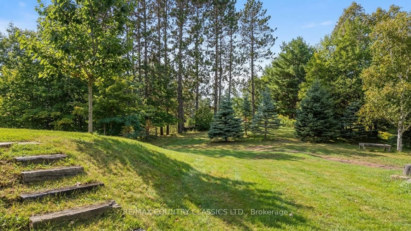 41 Old L'amable Road Property Photo 39