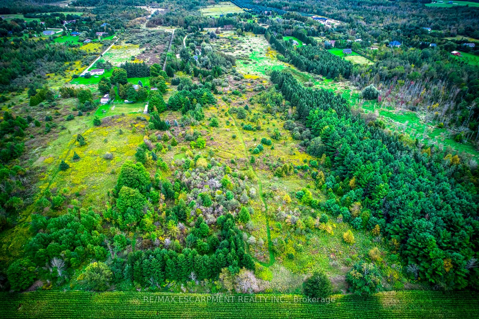 555118 Mono Amaranth Townline Property Photo 8