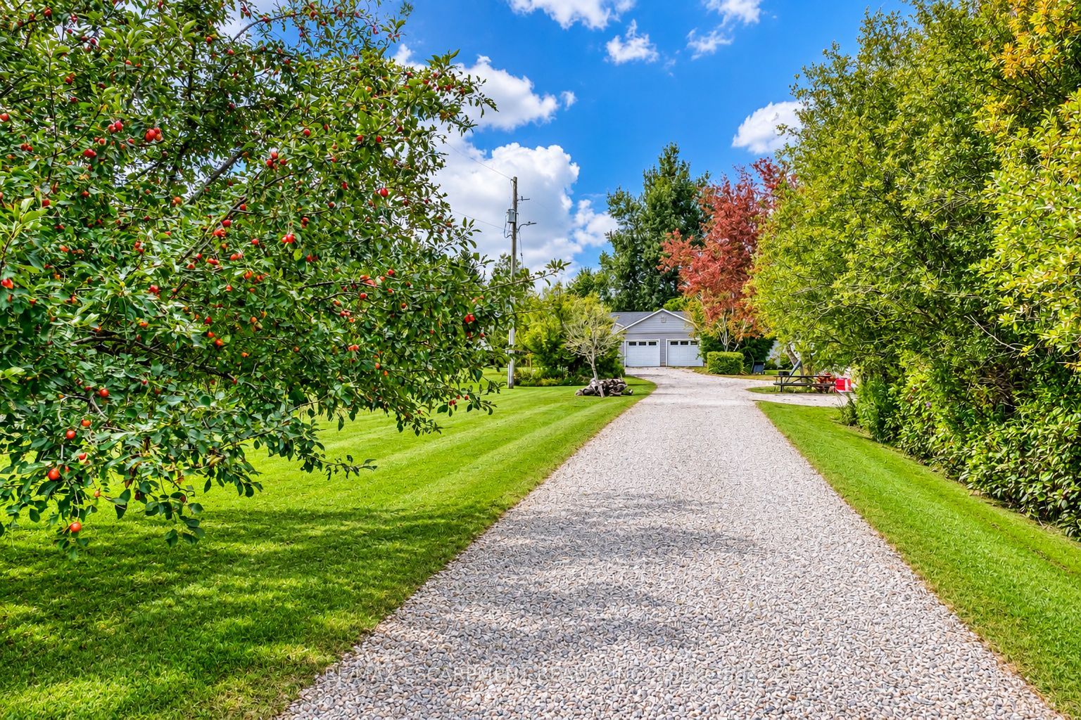555118 Mono Amaranth Townline Property Photo 12