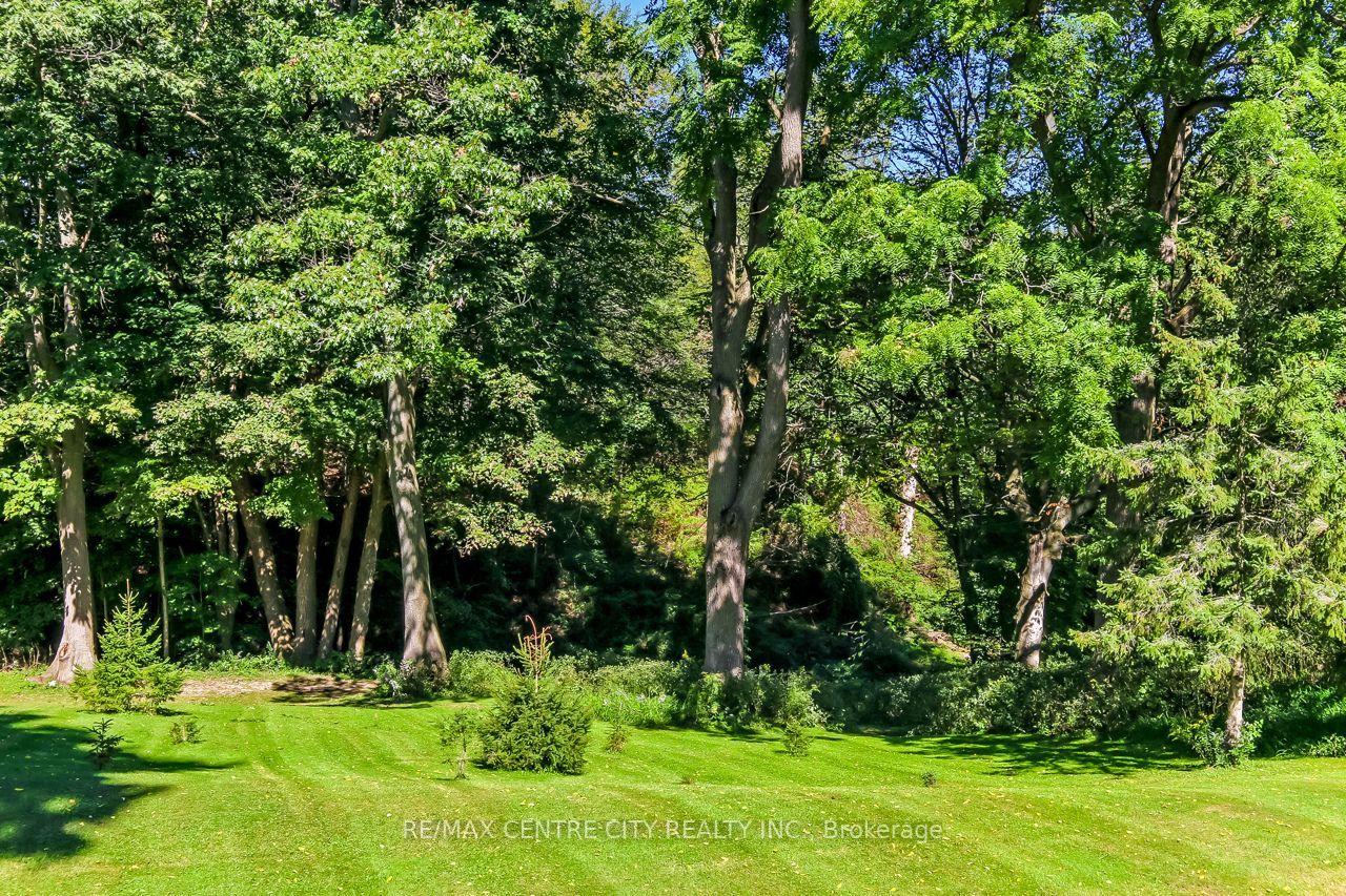 37450 Lake Line Property Photo 42