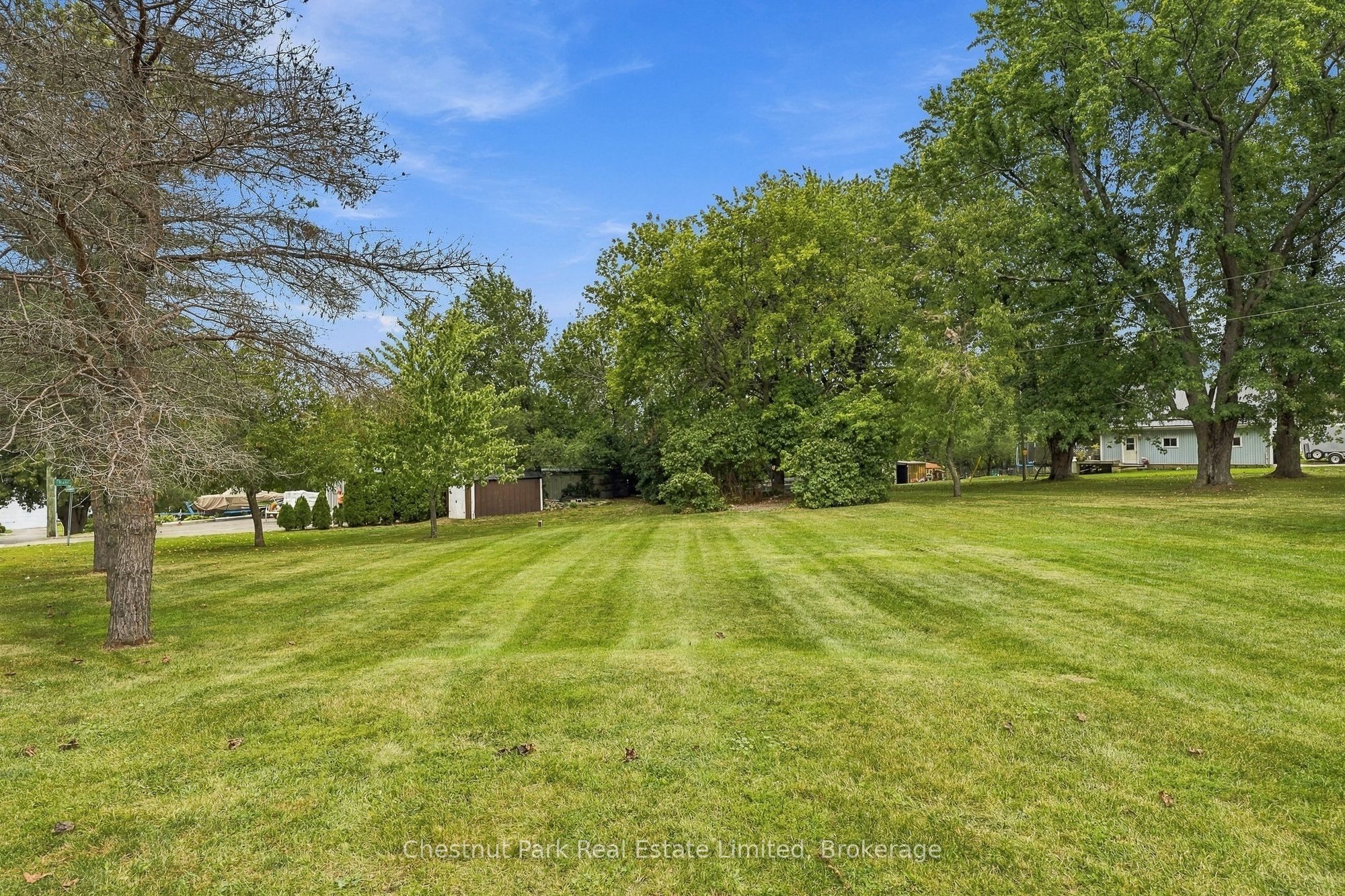 10 Northport Street Property Photo 29