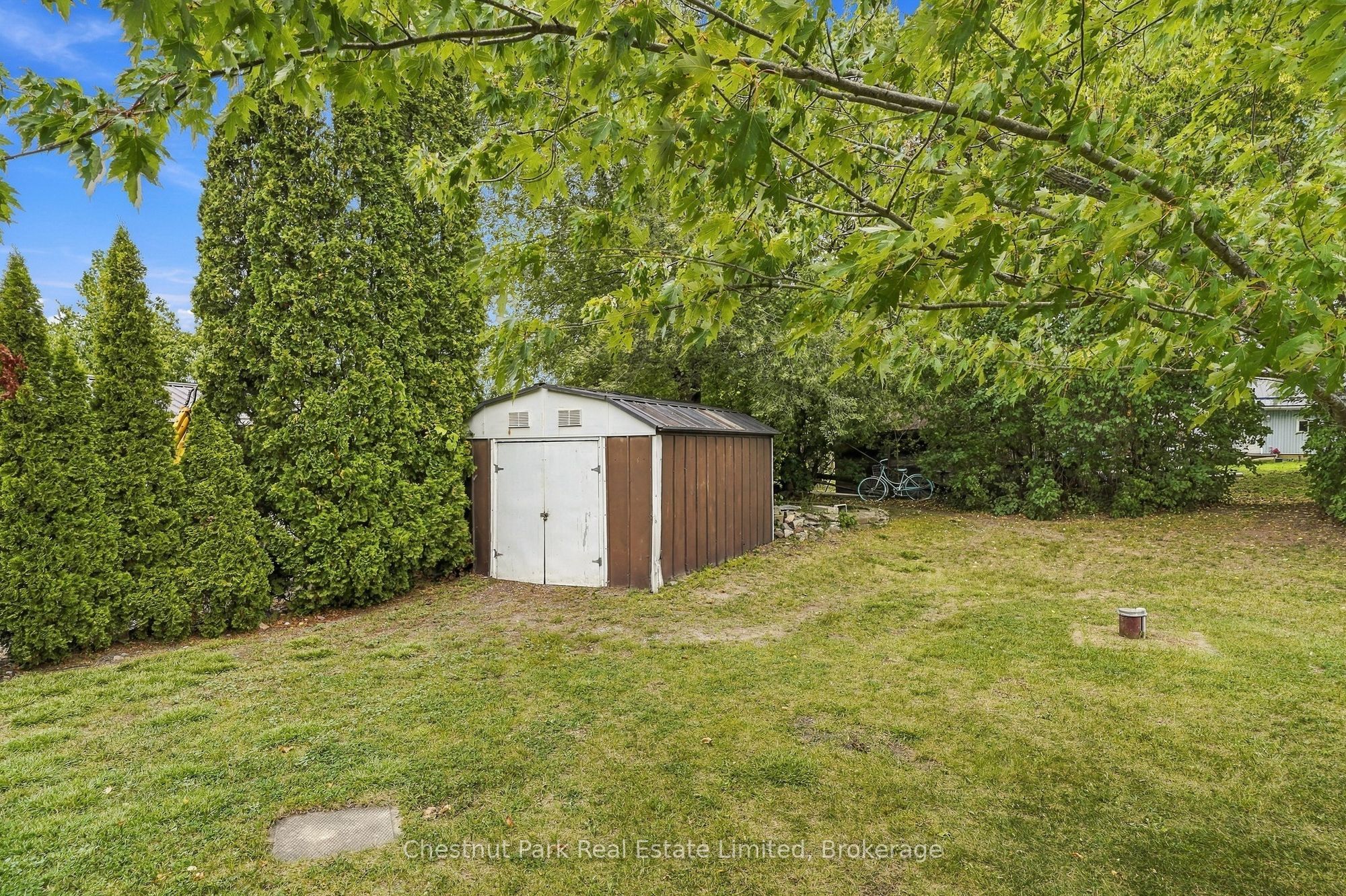 10 Northport Street Property Photo 31
