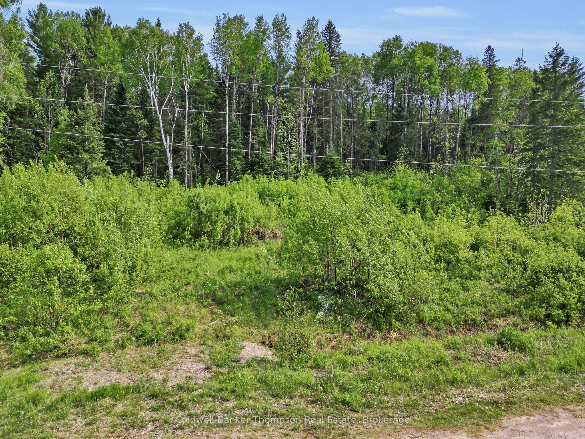 219 Doe Lake Road Property Photo 5