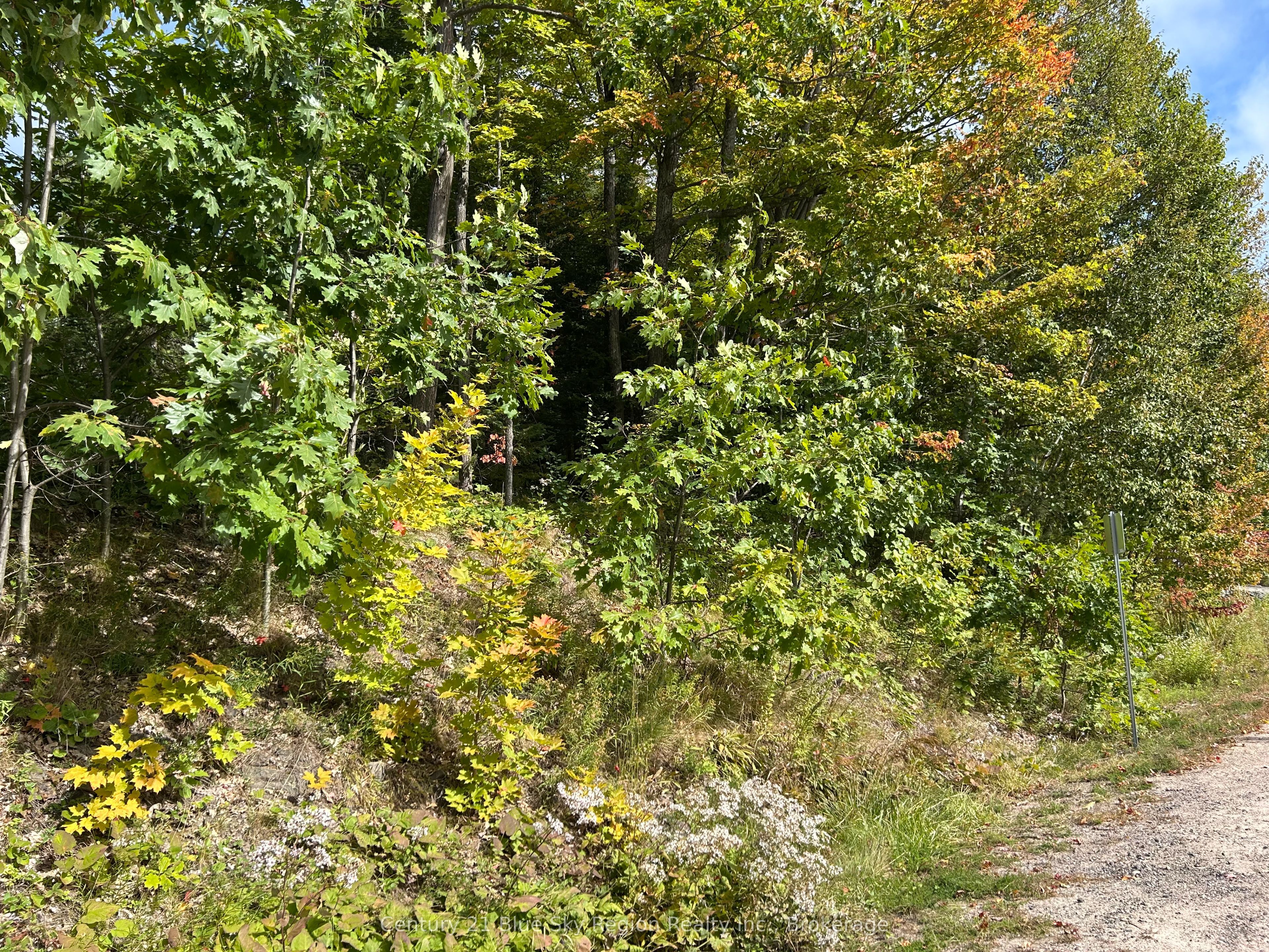 Pcl 28216 Highway 531 Property Photo 1