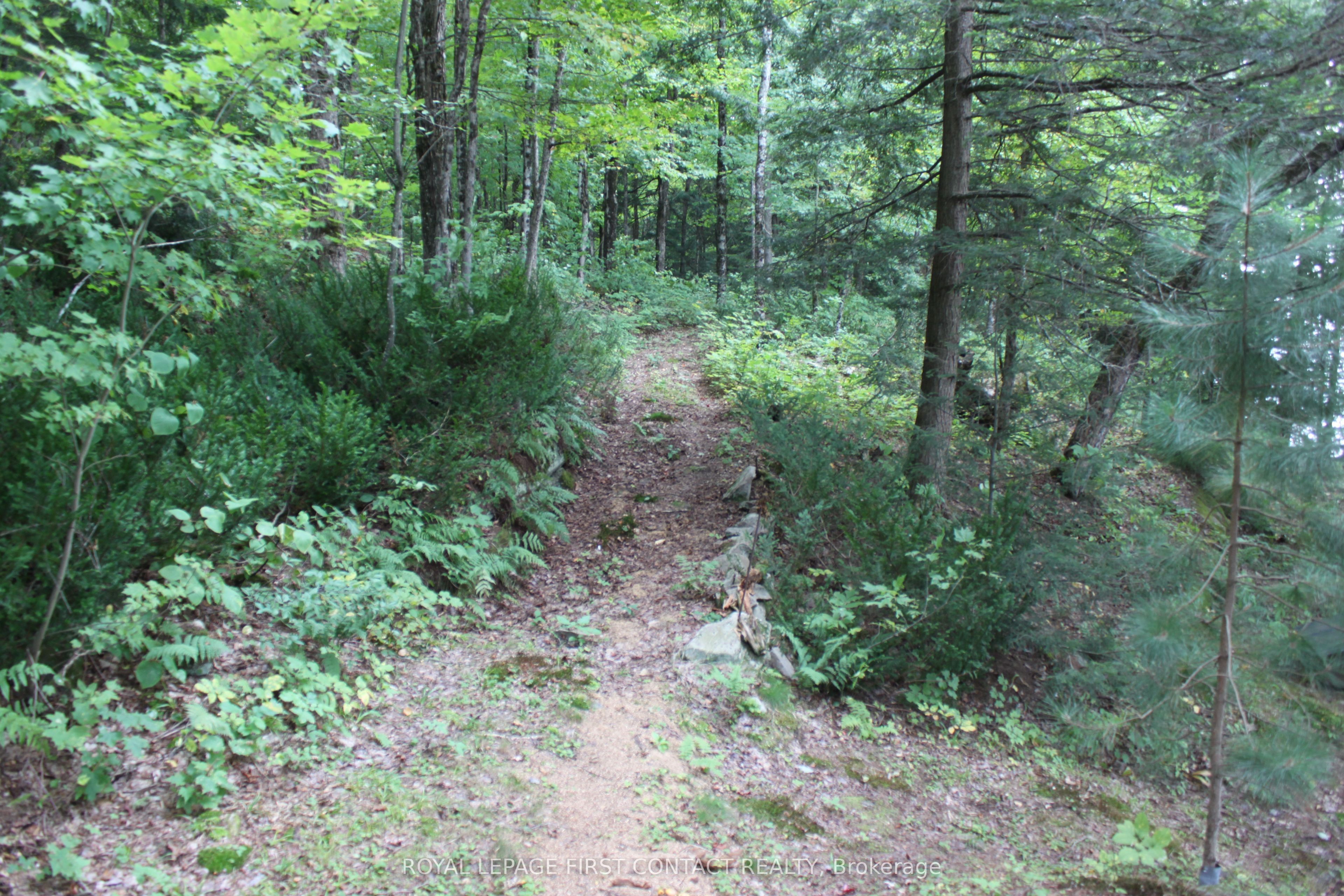 10 Healey Lake Road Property Photo 25