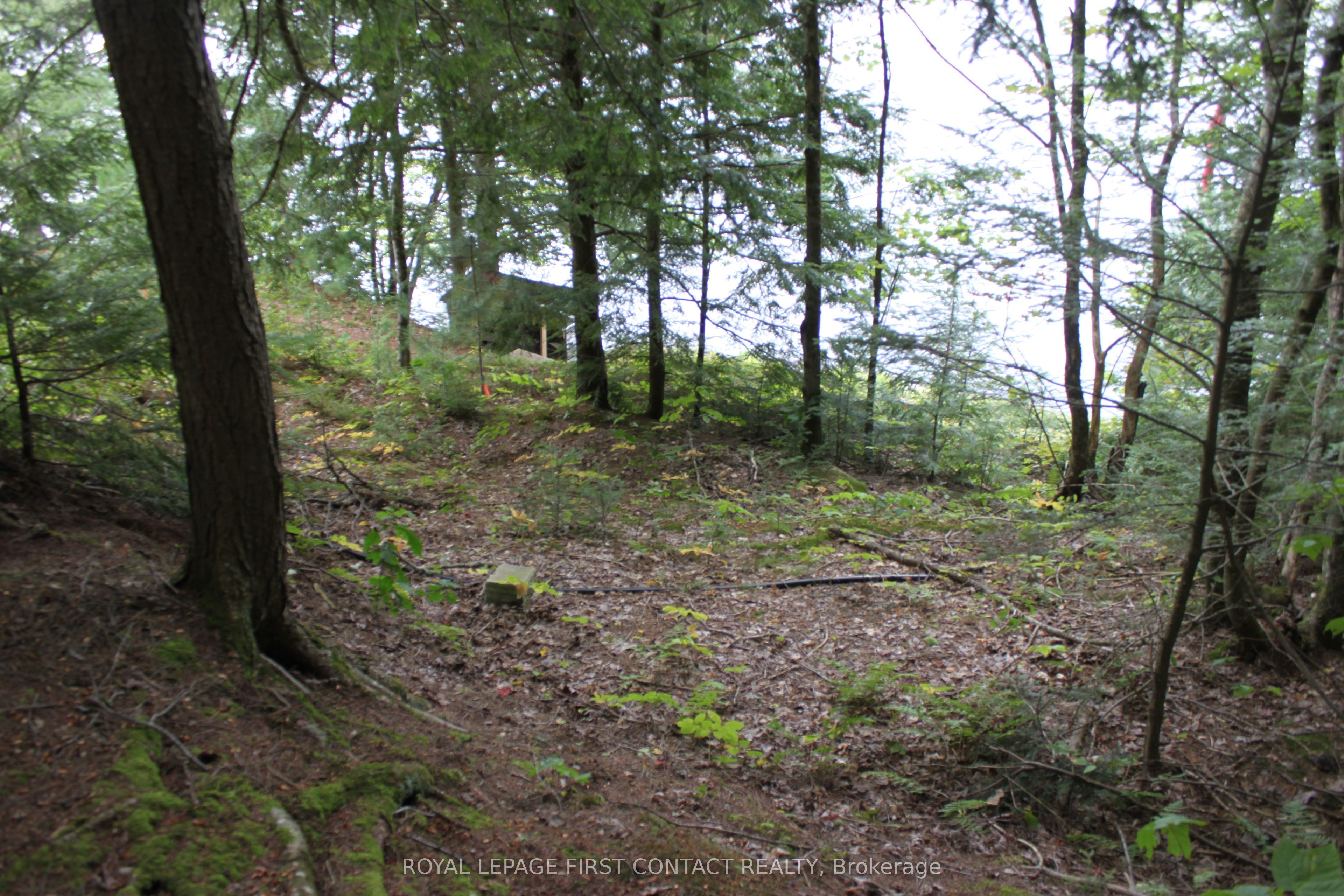 10 Healey Lake Road Property Photo 26