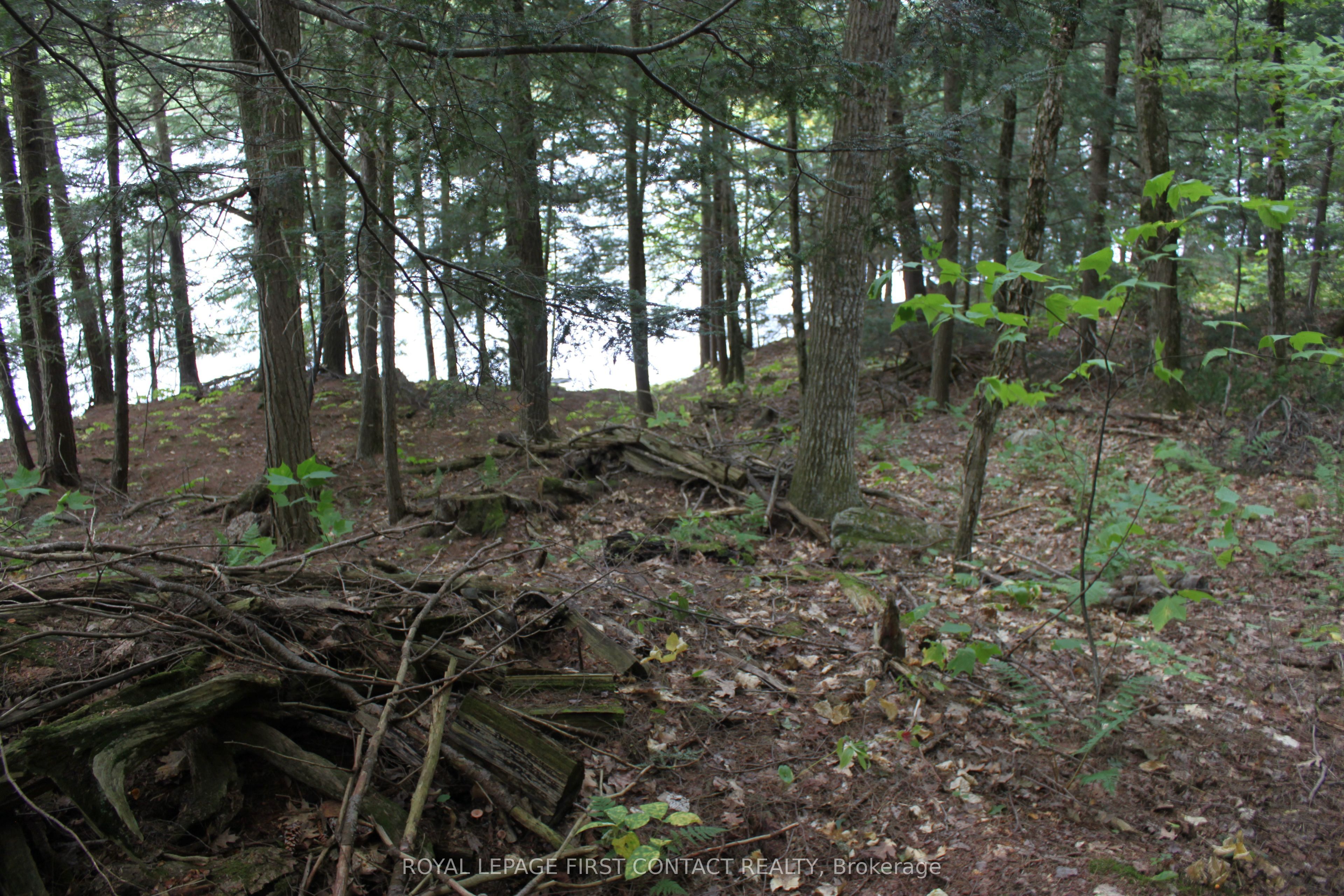 10 Healey Lake Road Property Photo 27