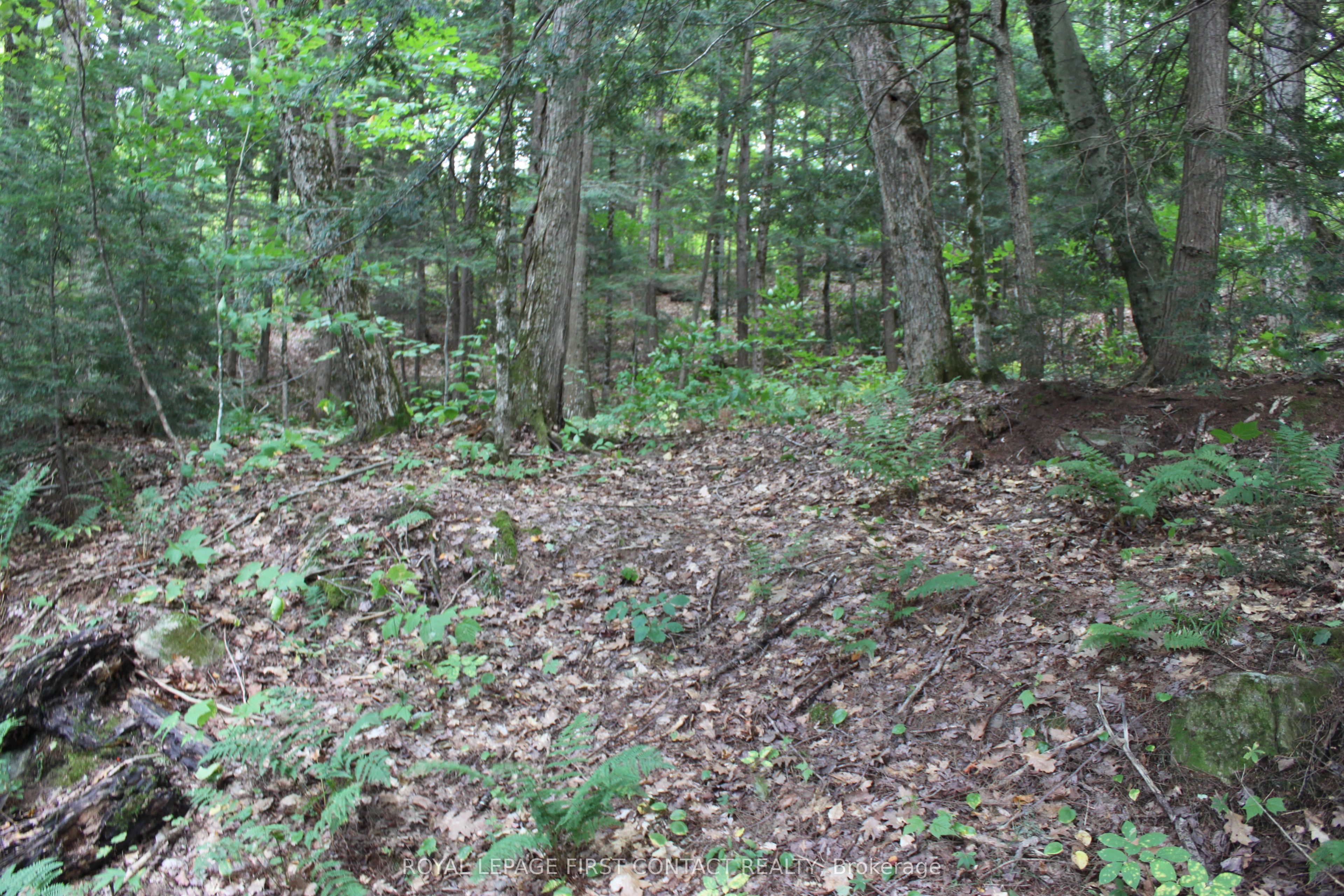 10 Healey Lake Road Property Photo 28