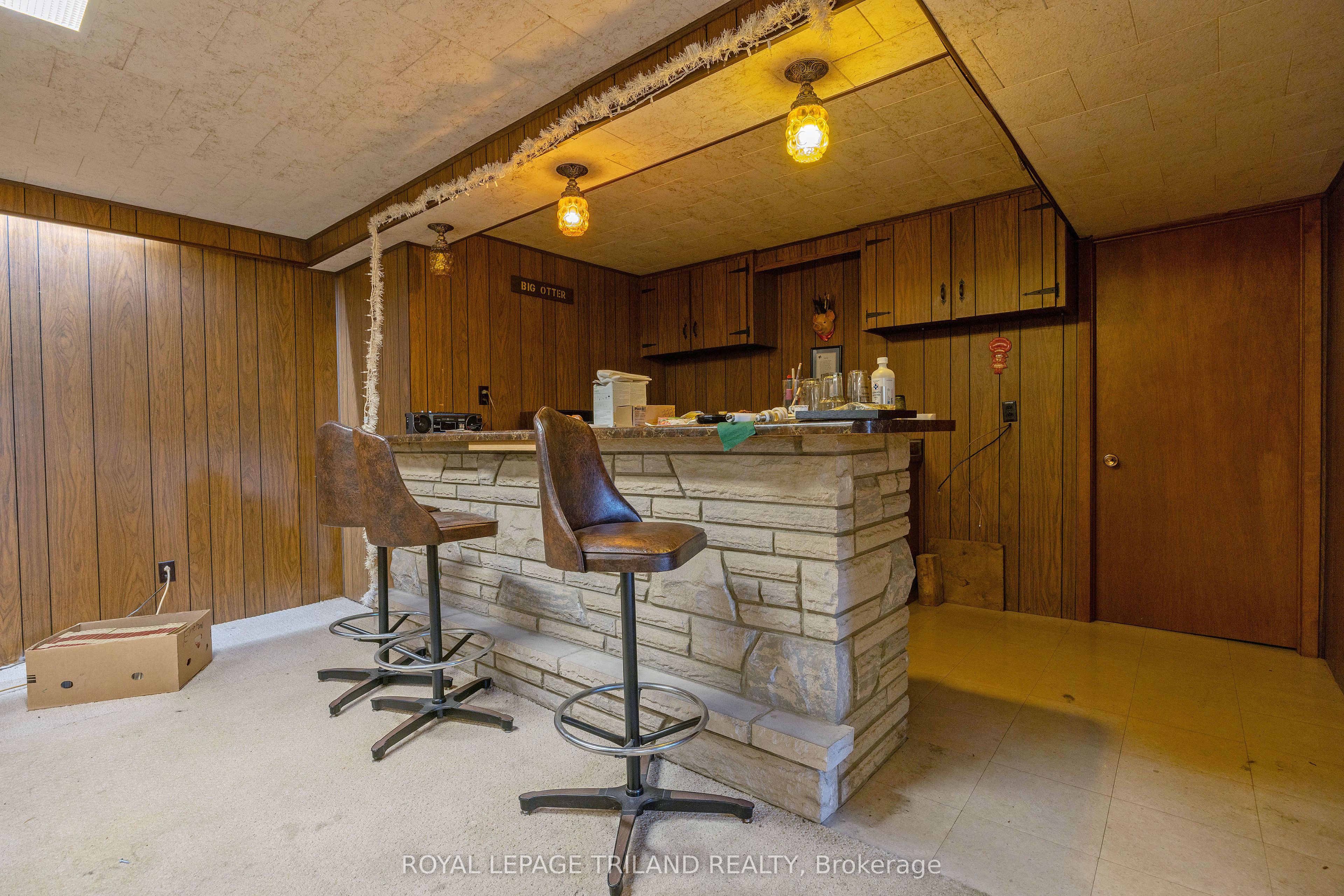 55267 Light Line Property Photo 26