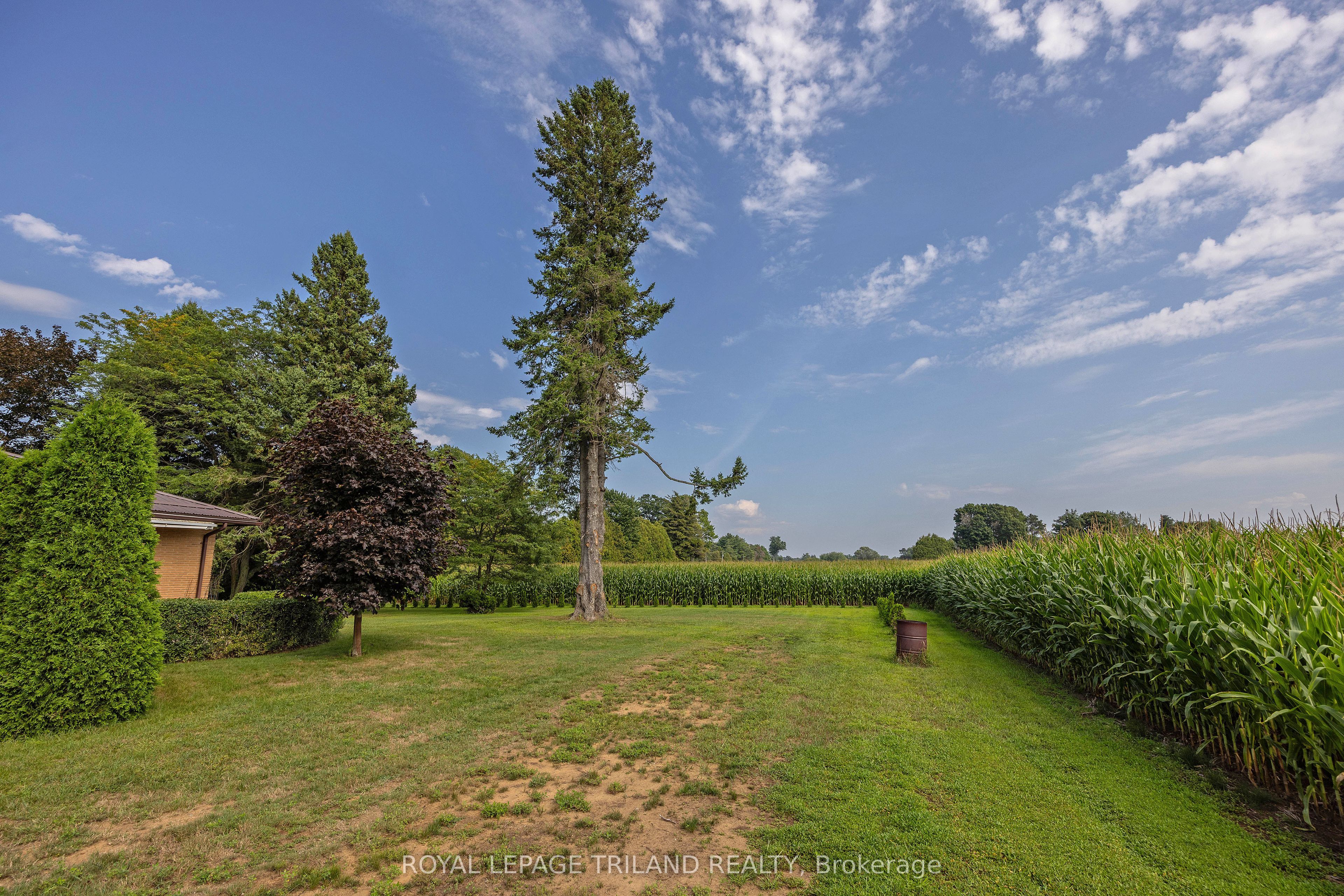 55267 Light Line Property Photo 34