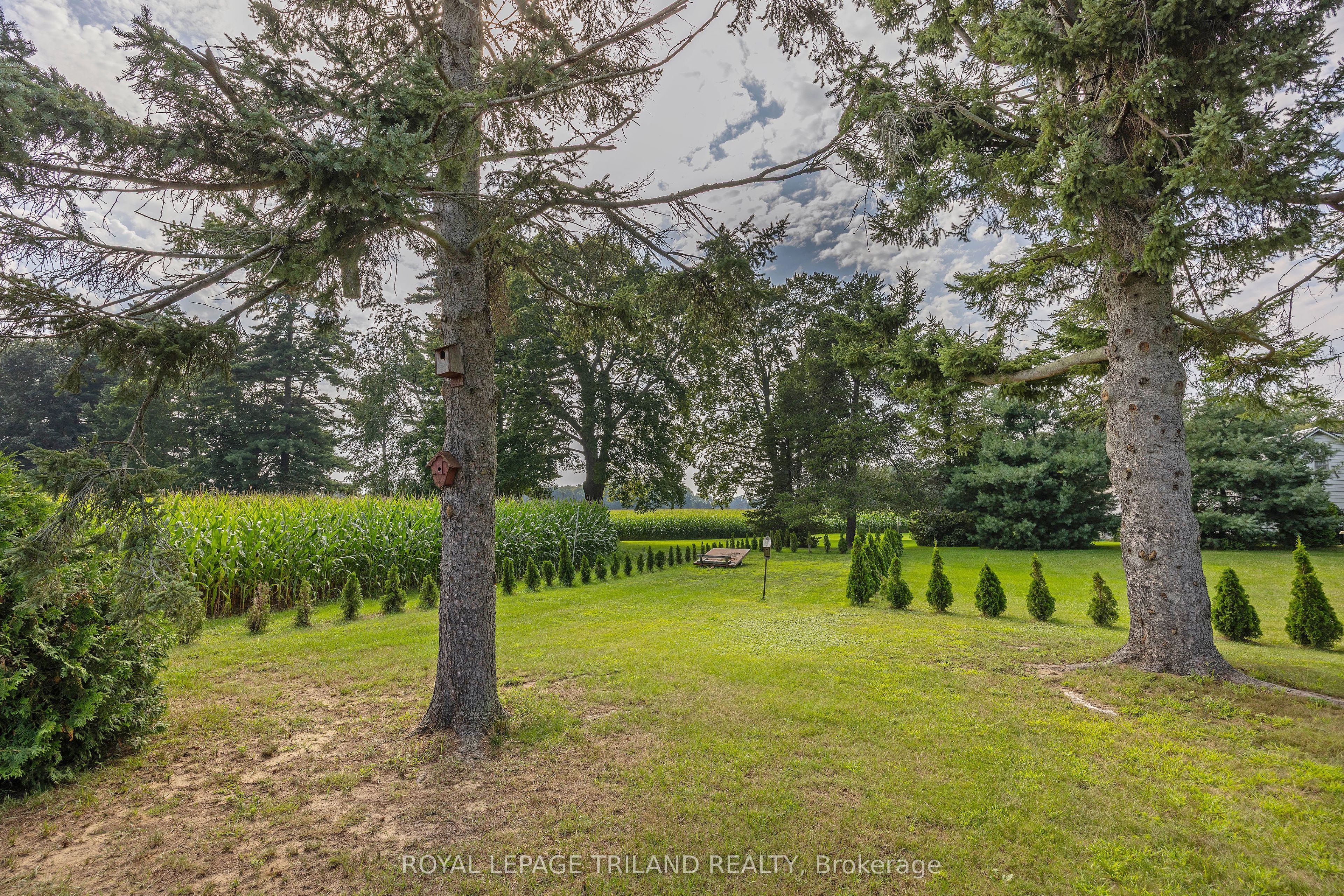 55267 Light Line Property Photo 35