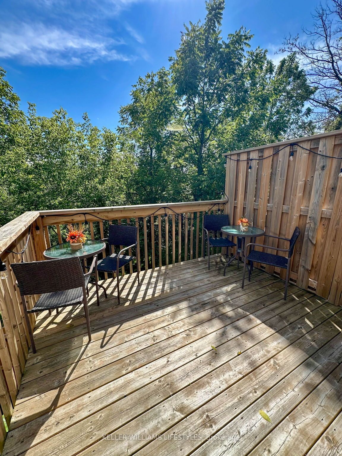 601 Lions Park Drive 32 Property Photo 13