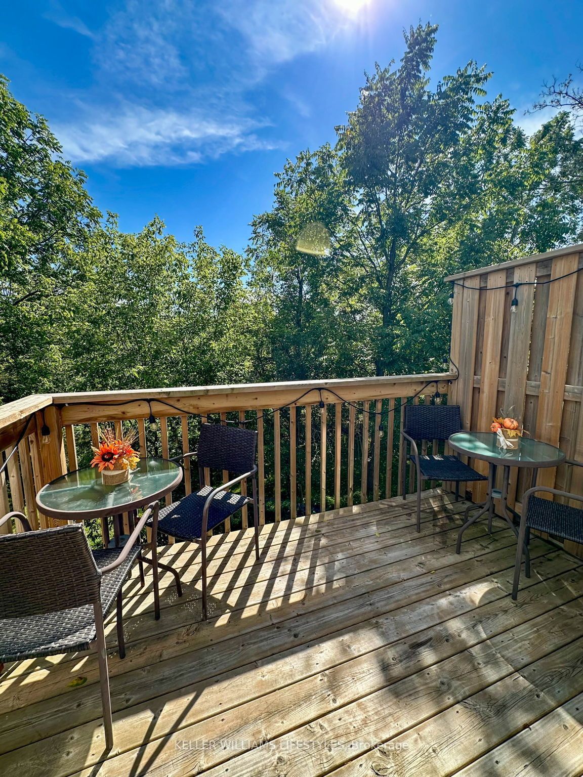 601 Lions Park Drive 32 Property Photo 14