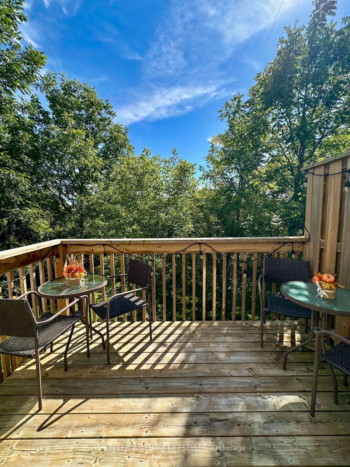 601 Lions Park Drive 32 Property Photo 15