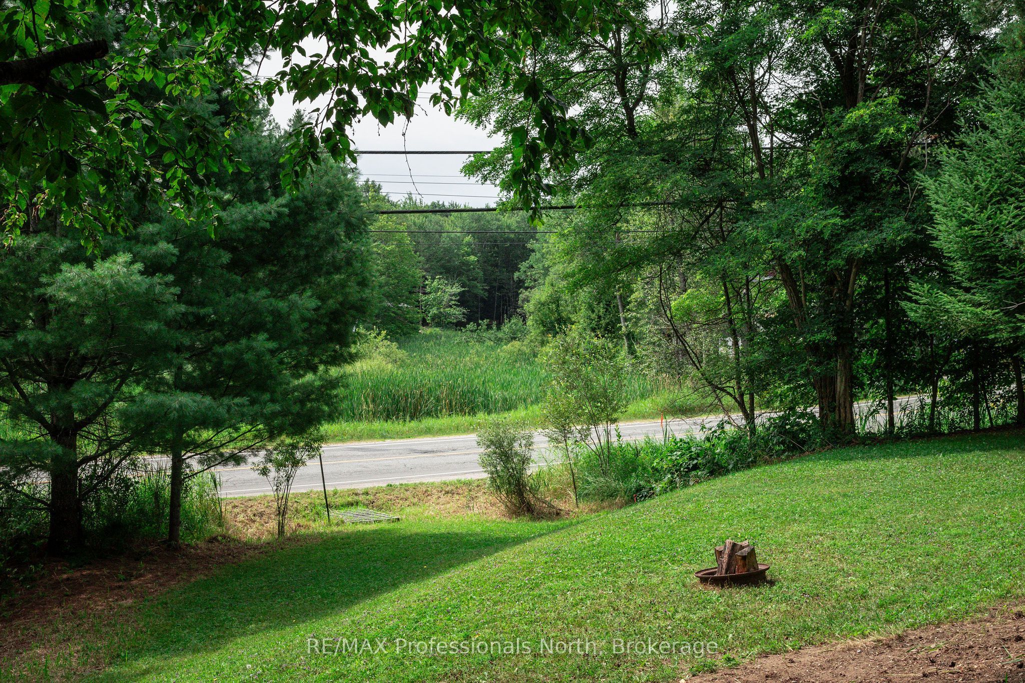 0 Townline Road Property Photo 4